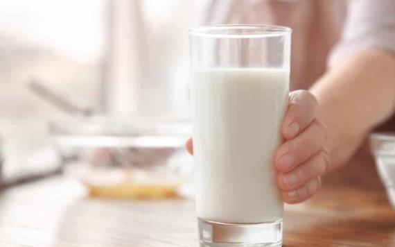Estudio de Harvard revela si los adultos deben consumir leche