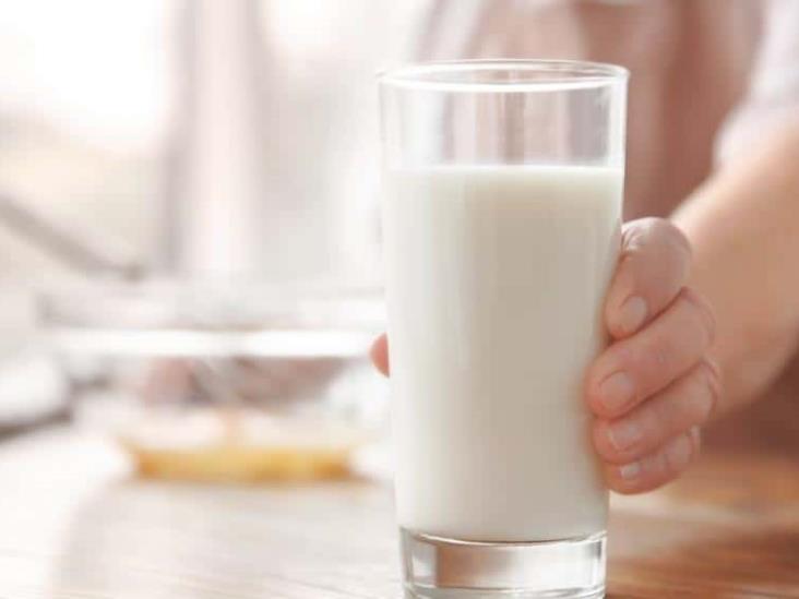 Estudio de Harvard revela si los adultos deben consumir leche Estudio de Harvard revela si los adultos deben consumir leche