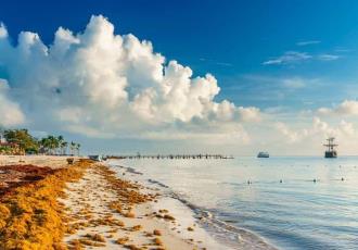 Alertan por sargazo excesivo en 50 playas del Caribe mexicano