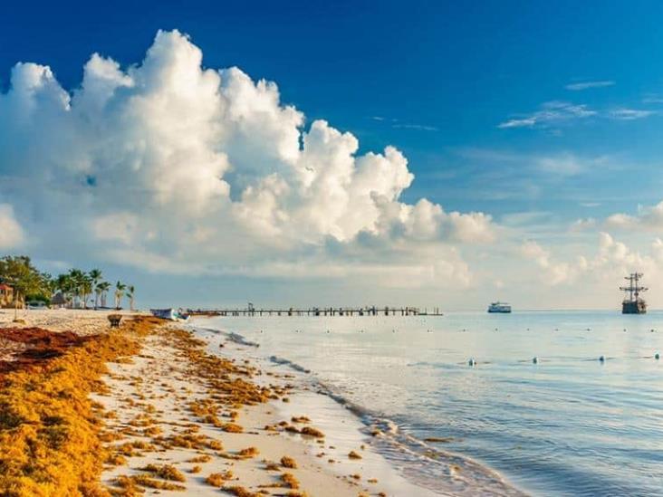 Alertan por sargazo excesivo en 50 playas del Caribe mexicano Alertan por sargazo excesivo en 50 playas del Caribe mexicano