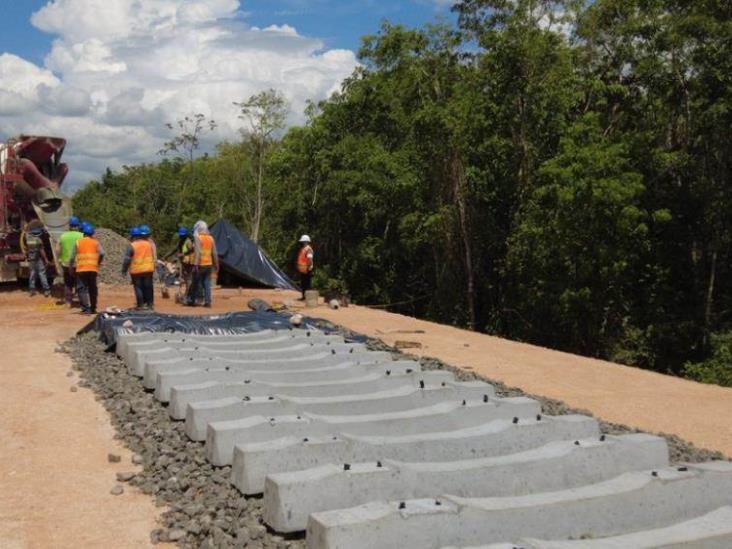 Semarnat abrió a consulta pública el proyecto del Tramo 5 Sur del Tren Maya Semarnat abrió a consulta pública el proyecto del Tramo 5 Sur del Tren Maya