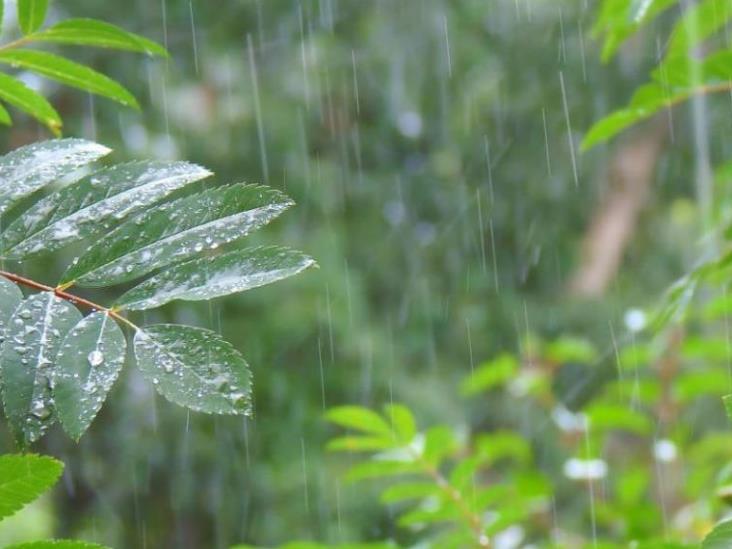 Onda tropical Núm. 1 comenzará a debilitarse sobre el sureste de México Onda tropical Núm. 1 comenzará a debilitarse sobre el sureste de México