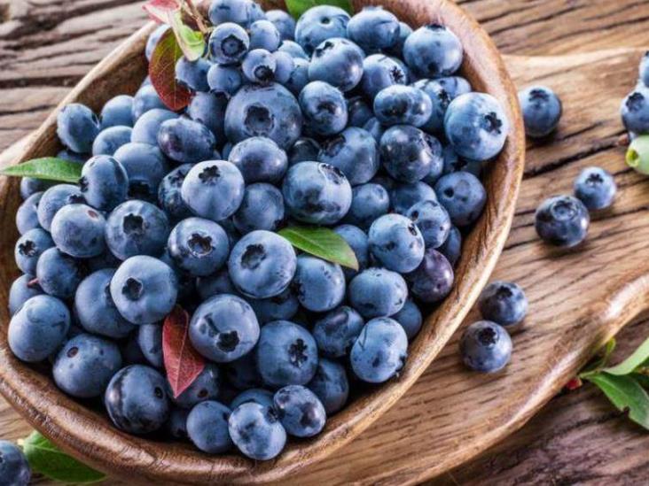 El arándano protege la memoria. Así puedes integrarlo a tu dieta El arándano protege la memoria. Así puedes integrarlo a tu dieta