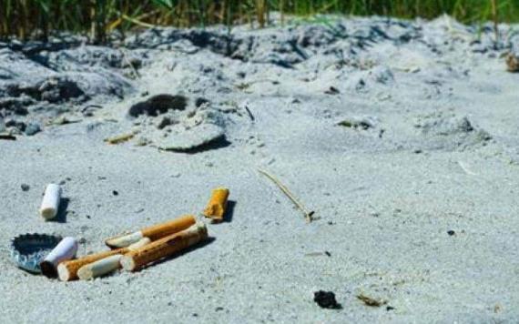 El tabaco destruye 600 millones de árboles y 200,000 hectáreas de tierra: informe