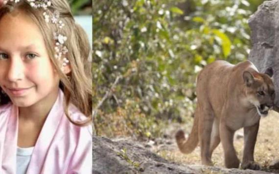 Niña de 9 años sobrevive al ataque de un puma en Washington