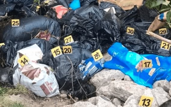Hallan más de cien cadáveres de perros en bolsas de plástico