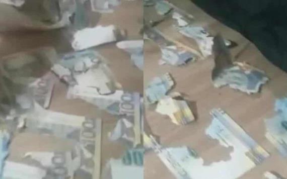 Video: rata destroza más de 15 mil pesos en ahorros