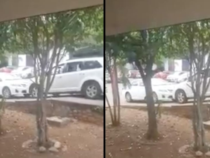 Exhiben a conductora de una camioneta que embiste intencionalmente a otra unidad dentro del CBTis 32 Exhiben a conductora de una camioneta que embiste intencionalmente a otra unidad dentro del CBTis 32