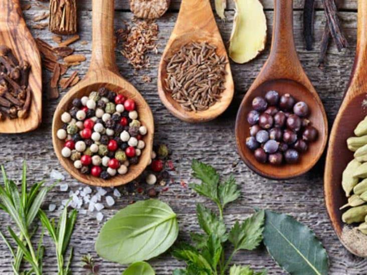 Diferencias entre hierbas, especias y condimentos y cómo usarlos en la cocina Diferencias entre hierbas, especias y condimentos y cómo usarlos en la cocina