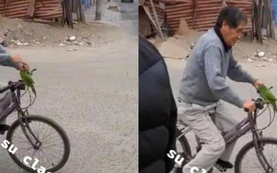 Video: Abuelito en Perú utiliza a su loro como claxon para su bicicleta; genera polémica en redes