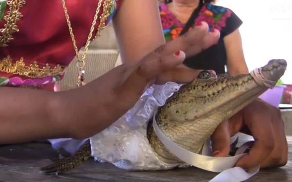 Alcalde de una comunidad de Oaxaca se casa con un caimán para tener abundancia