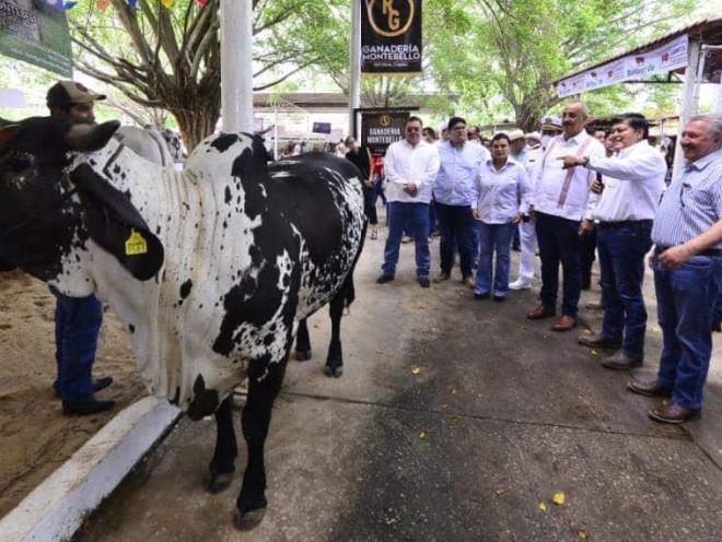 Privilegiarán la producción de carne y leche con el rescate de la Unión Ganadera Regional de Tabasco Privilegiarán la producción de carne y leche con el rescate de la Unión Ganadera Regional de Tabasco