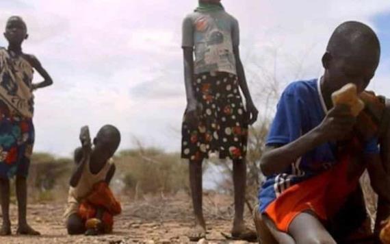 ONU: 800 millones sufren de hambre en el mundo