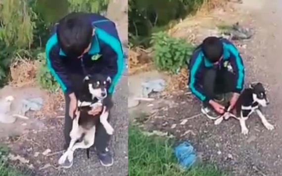 Video: Hombre ató de las patas a un perrito y lo avienta al río; lo obligan a rescatarlo