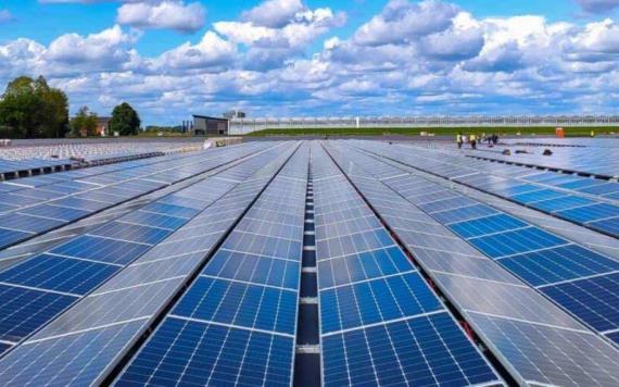 PAN propone que edificios gubernamentales instalen paneles solares y sistemas de captación de agua