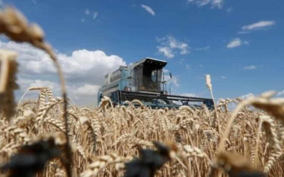 Rusia y Ucrania firman acuerdo para desbloquear el comercio de cereales