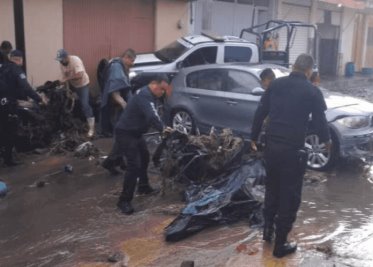 Video: Niño salta barra de seguridad de un Zoológico en Guanajuato y es atacado por un jaguar