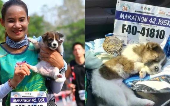 Maratonista rescató a cachorrito perdido a media competencia y lo adoptó