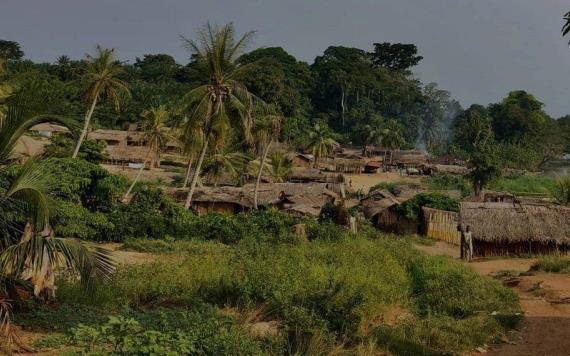 Fuerzas de paz de la ONU reconocen tiroteo en el Congo; dejan dos muertos