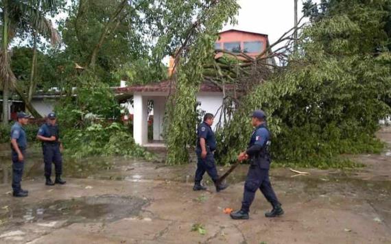 Fuertes vientos derriban arboles en Tacotalpa y Jalapa