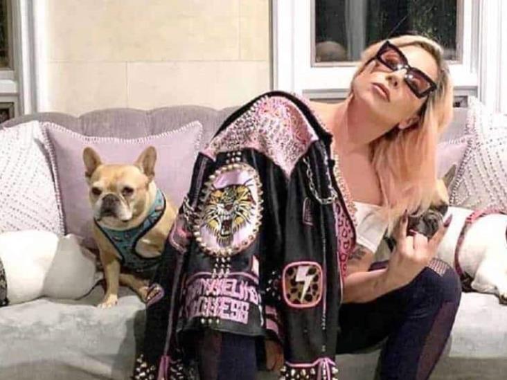 Condenan a cuatro años de cárcel el hombre que secuestró a los perros de Lady Gaga Condenan a cuatro años de cárcel el hombre que secuestró a los perros de Lady Gaga