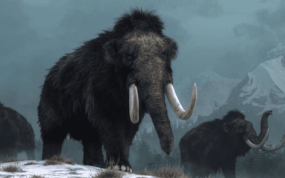 Científicos reavivan células de mamuts; podría haber una posible resurrección