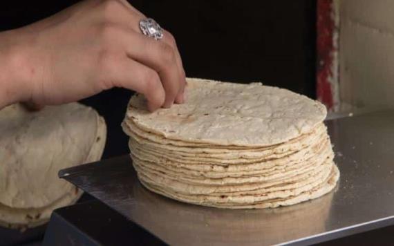 ¡Que no te engañen! Así puedes identificar las tortillas piratas