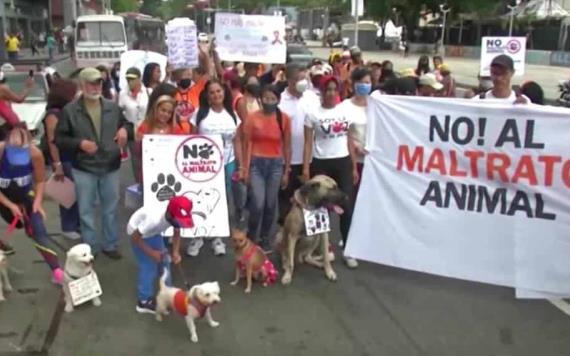 Perros y gatos marchan para exigir leyes contra el maltrato animal