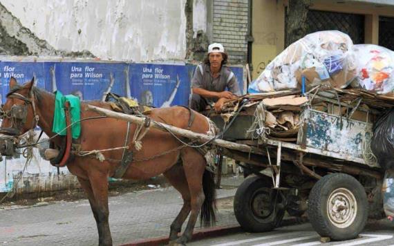 Rescatan caballo maltratado en Ecatepec; lo utilizaban para recolección de basura