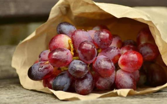 9 beneficios de las semillas de uva para tu salud