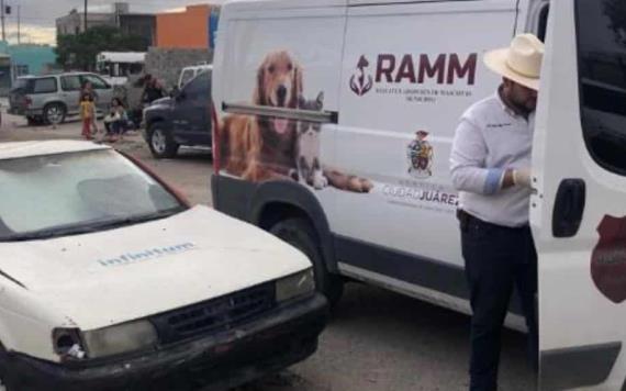 Sujeto es detenido por intentar comerse un perro en Ciudad Juárez