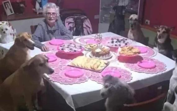 Video: Tierno momento vivió una abuelita que celebró su fiesta de cumpleaños a lado de sus 10 perritos