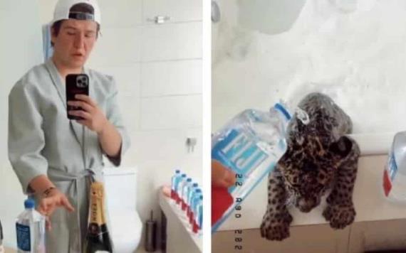 Critican a Fofo Márquez por bañar a jaguar en champagne; señalan posible maltrato animal