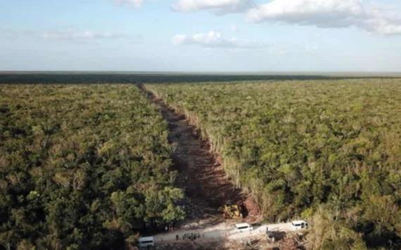 Buscan expropiar 190 hectáreas para el Tren Maya; en terrenos en Solidaridad y Tulum