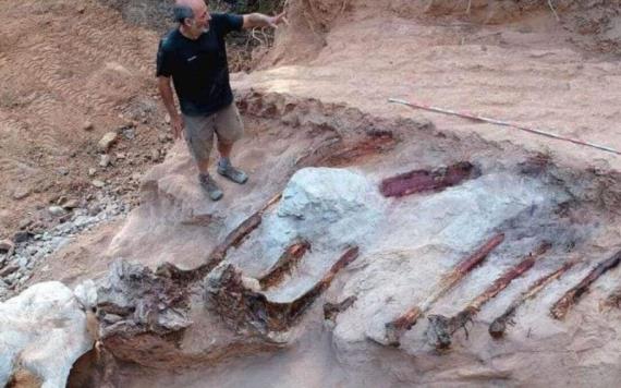 Hallan en Portugal restos de un enorme dinosaurio saurópodo
