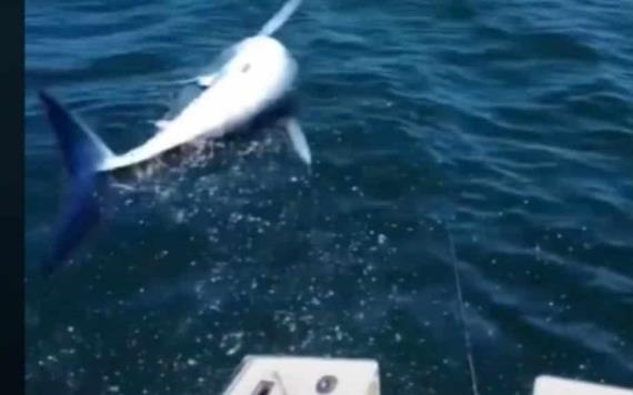 Tiburón sorprende a pescadores y salta encima de su bote