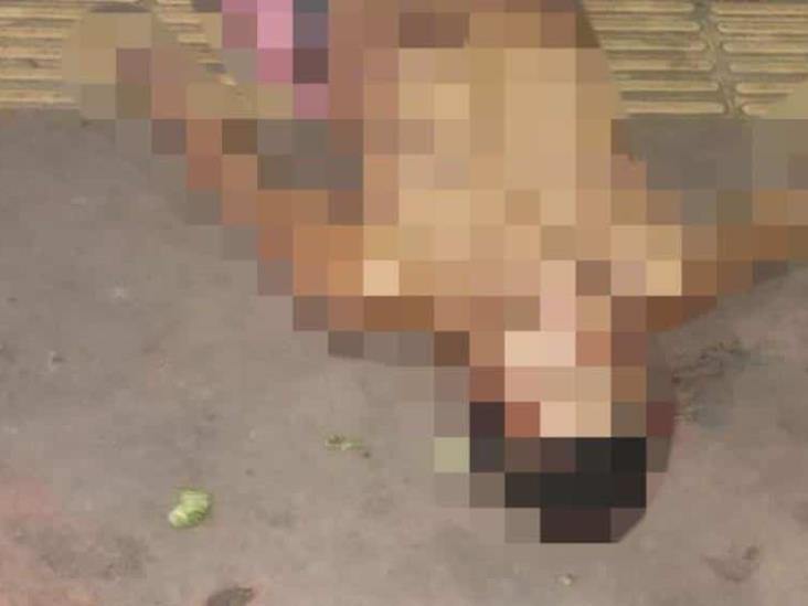 Encuentran un hombre muerto en el mercado público José María Pino Suárez Encuentran un hombre muerto en el mercado público José María Pino Suárez