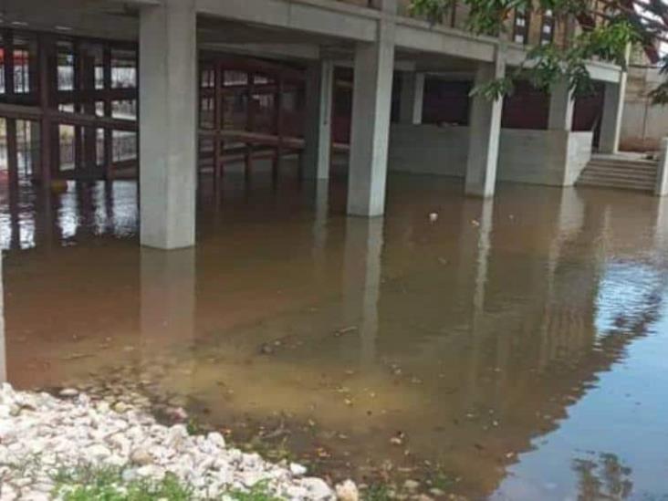 Continúa incrementando nivel del Río Usumacinta Continúa incrementando nivel del Río Usumacinta