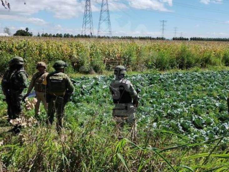 Se desploma avioneta en sembradíos de Irapuato Se desploma avioneta en sembradíos de Irapuato