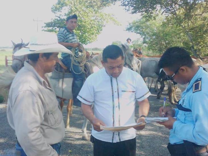 Tránsito brinda auxilio a productores para la movilización de ganado por la vía Jonuta -Zapatero Tránsito brinda auxilio a productores para la movilización de ganado por la vía Jonuta -Zapatero