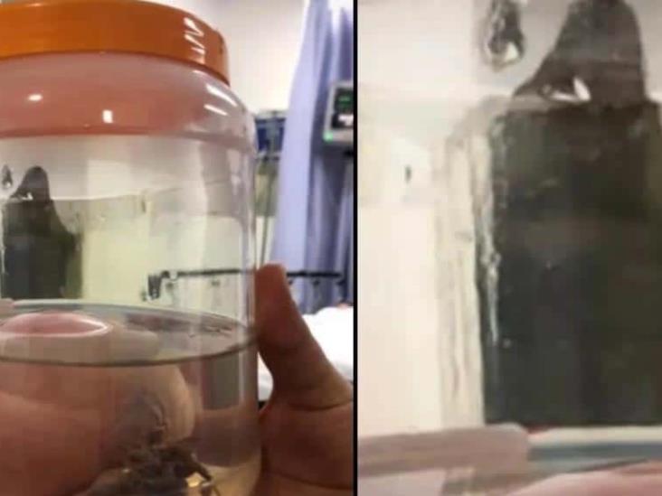 Silueta de la Muerte es vista en un hospital de Sonora Silueta de la Muerte es vista en un hospital de Sonora