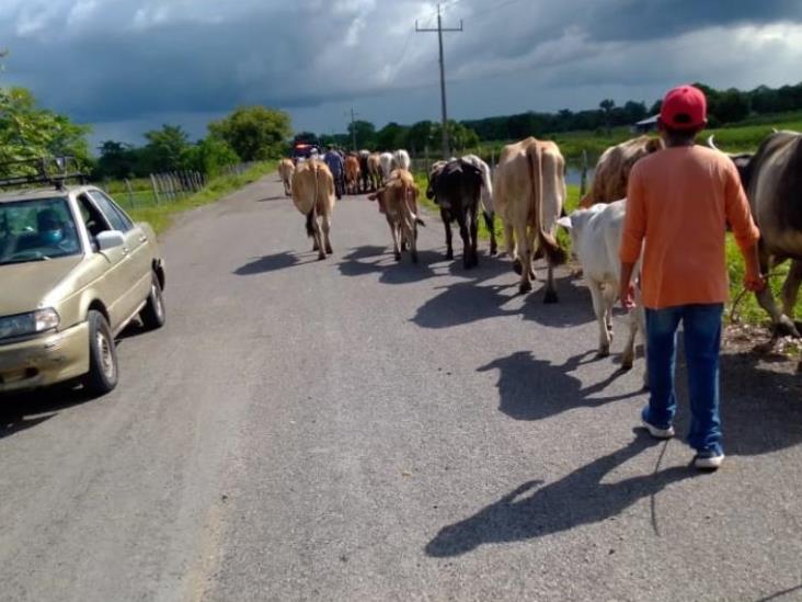 La PEC recomienda a conductores a que manejen con precaución en la vía Jonuta-Zapatero La PEC recomienda a conductores a que manejen con precaución en la vía Jonuta-Zapatero