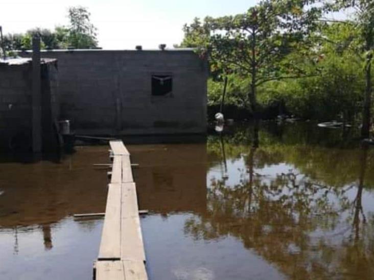 Ya hay serios encharcamientos en diversas comunidades de Jalpa Ya hay serios encharcamientos en diversas comunidades de Jalpa