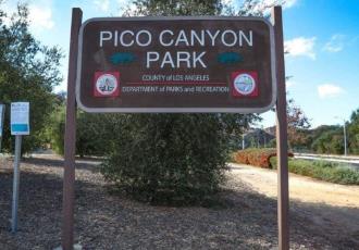 Puma ataca a un niño de siete años en el parque Pico Canyon de California
