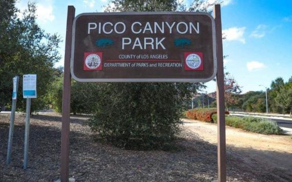 Puma ataca a un niño de siete años en el parque Pico Canyon de California