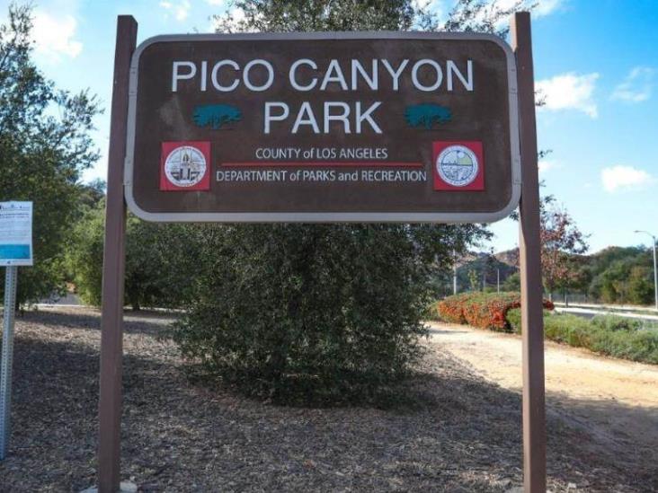 Puma ataca a un niño de siete años en el parque Pico Canyon de California Puma ataca a un niño de siete años en el parque Pico Canyon de California