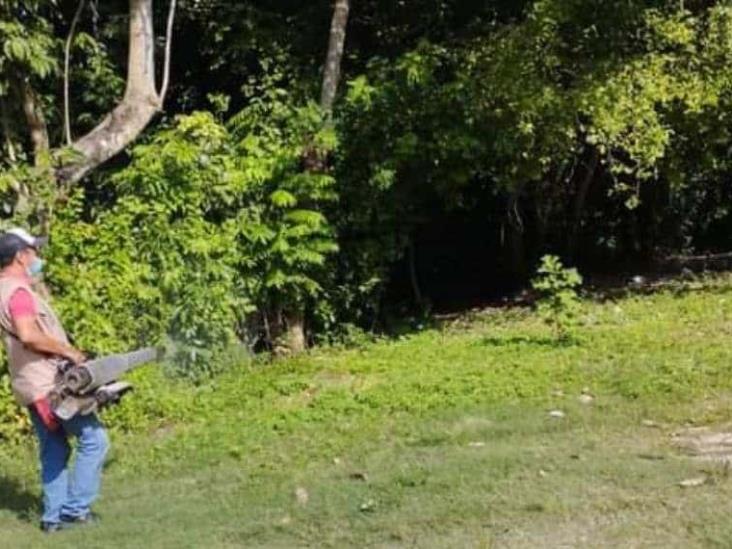 Vectores realizan actividades para combatir mosquitos transmisores del dengue Vectores realizan actividades para combatir mosquitos transmisores del dengue