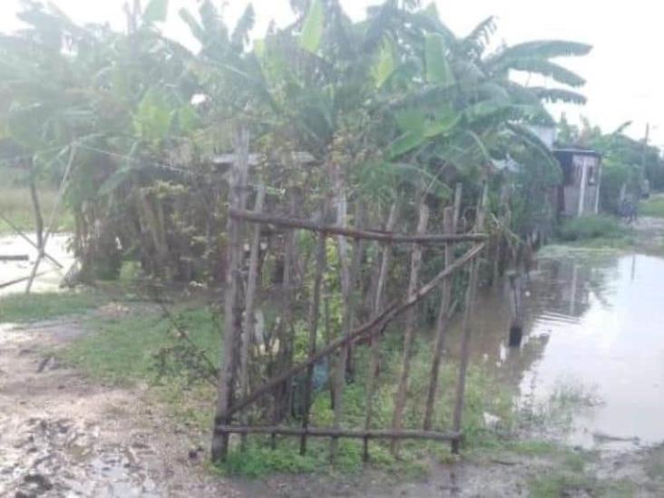 Familias de Pino Suárez Jonuta claman ayuda al gobierno local en plena creciente Familias de Pino Suárez Jonuta claman ayuda al gobierno local en plena creciente