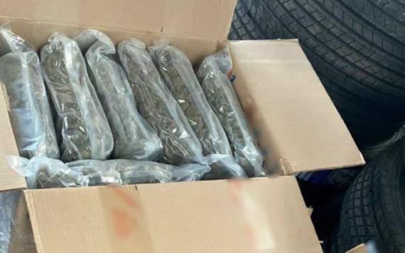 Guardia Nacional decomisa aparente marihuana empaquetada en cajas