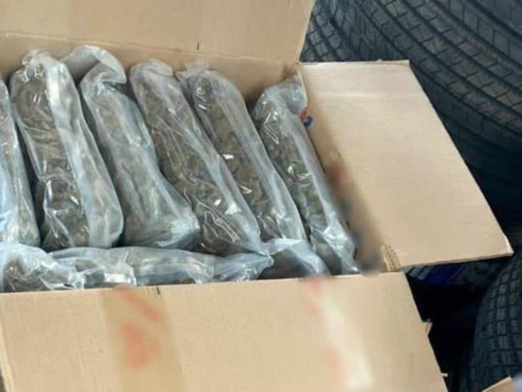 Guardia Nacional decomisa aparente marihuana empaquetada en cajas Guardia Nacional decomisa aparente marihuana empaquetada en cajas